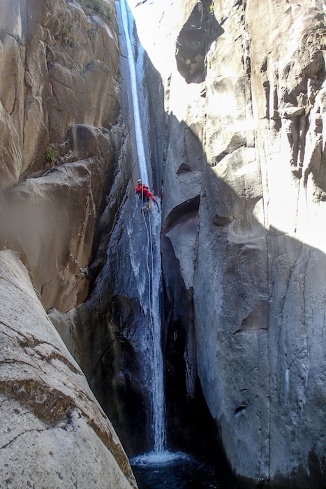 La cascade de fleur jaune dans le cirques de cilaos