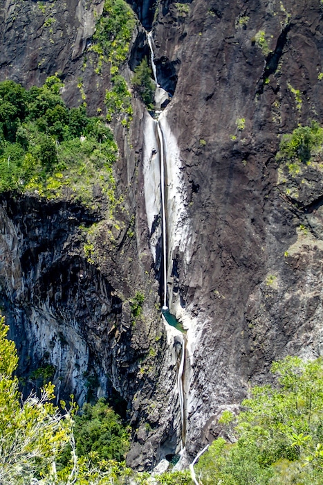 La cascade de fleur jaune dans le cirques de cilaos